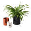 Pot de fleurs en céramique Patti-527634251-527634250