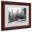 "Central Park" par CATeyes, Wabasha, reproduction de photo encadrée-10585888-10585885