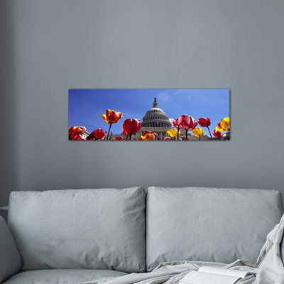 " Tulips With A Government Building In The Background, Capitol Building, Washington DC, USA " by Panoramic Images