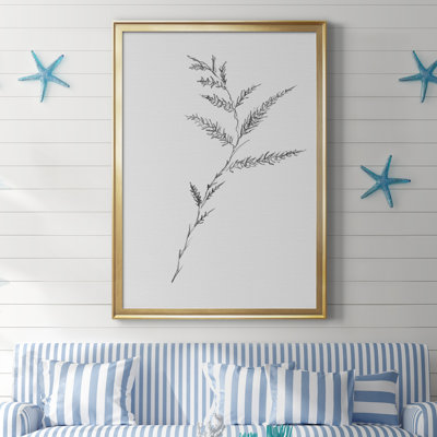 " Floral Sketch Iii "