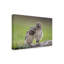 « friends owls », reproduction de photo sur toile tendue-30319904
