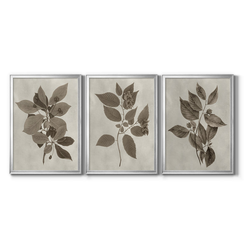 Arbor Speciment I - Toile tendue avec châssis sur mesure - 3 pièces, H 15 po x l 19 po, Argent argent