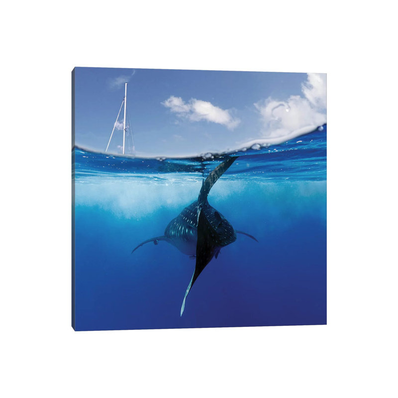Collision Course by Alessandro Catta - Wrapped Canvas Painting, 30.48 cm H x 30.48 cm W x 1.91 cm D