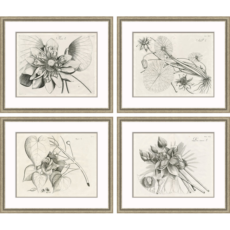 Malaberica Etchings Painting by David Phoenix