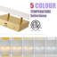 Applique murale 1 lumière DEL à intensité variable 32 W Bedale avec 5 températures de couleur dorée Bedale-1056650404-1056650408