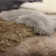 Grady Solid Grey Sheepskin Rug