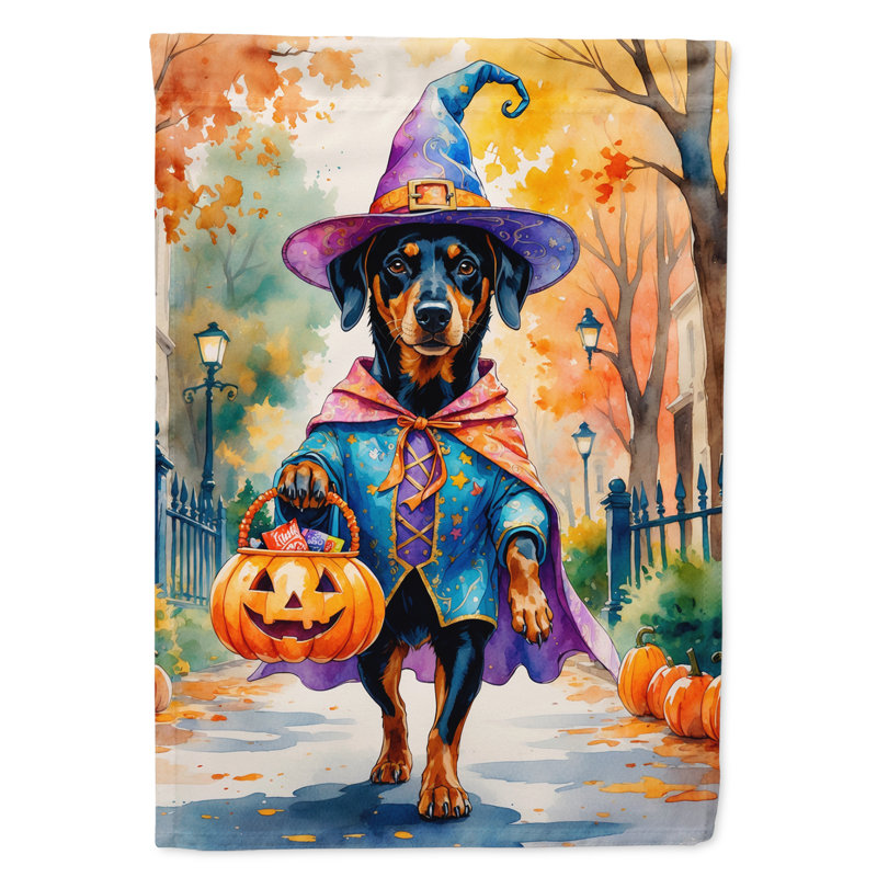 Drapeau de maison Weimaraner, Doberman pinscher