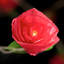 Dov LED Natural Leaf Rose String Light-89691164