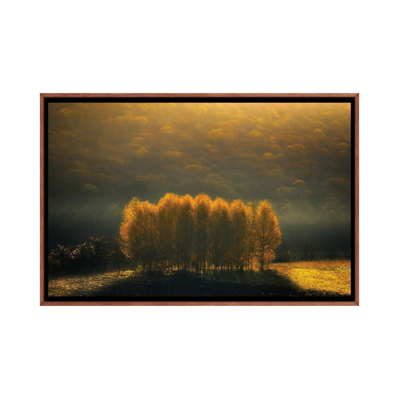 Morning Light by Anghel Rusu - Print on Canvas