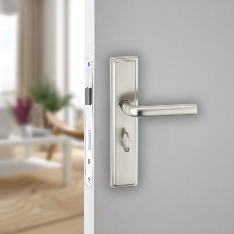 Bathroom Door Handle, Satin Nickel Bathroom