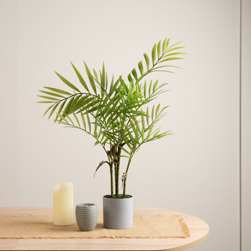 66cm Faux Palm in Grey Plastic Pot