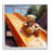ba-972-Framed Teddy Bear on Slide by Ray Powers Single Picture Frame Print on Canvas-97199124-97199125