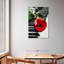 Hardie, rose rouge sur piano-108530041