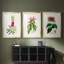 «Pretty Pink Botanicals VII», reproduction sur mesure encadrée de qualité supérieure - 3 pièces-1450346877-1450346817