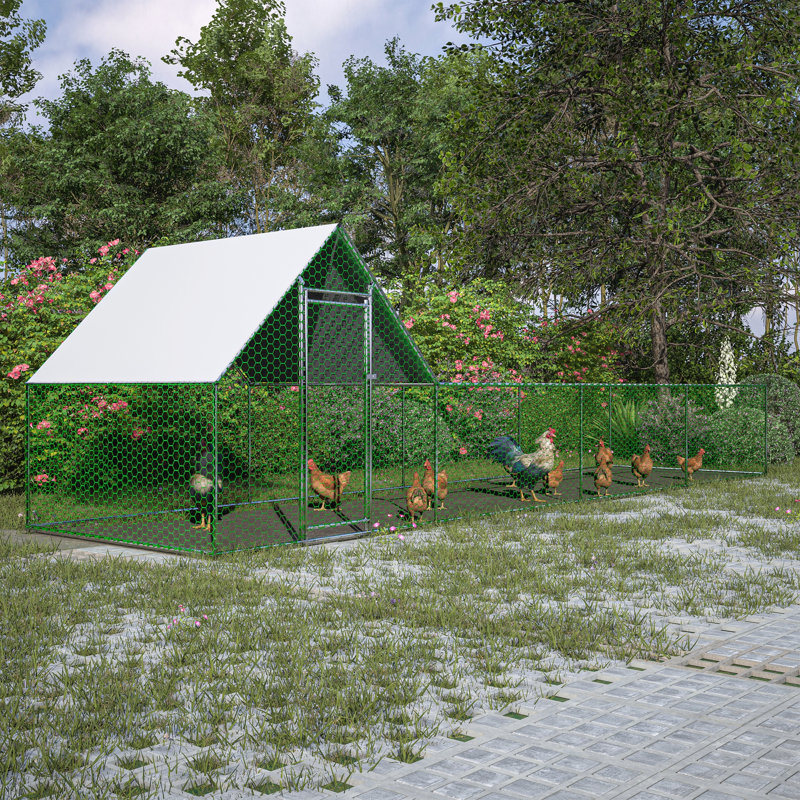 Cage à poulailler avec poulailler 16x3FT, 80" H x 313.03" W x 80.67" D