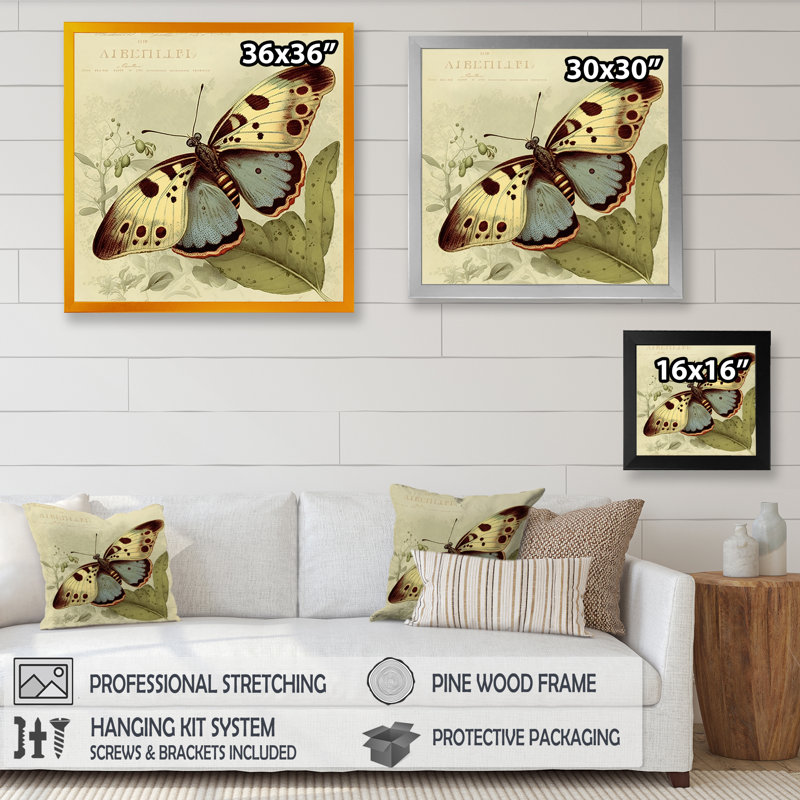 «Arisa Vintage Illustration Of Butterfly III», reproduction sur toile, Impression noire sur toile encadrée