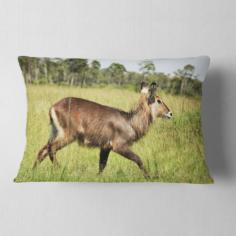 Coussin lombaire en herbe antilope waterbuck africain
