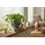 Turquoise White Willow Scallop Planter