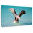 Pelican With Outstretched Wings-107703858