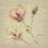 «Magnolia Blossom» par Cheri Blum