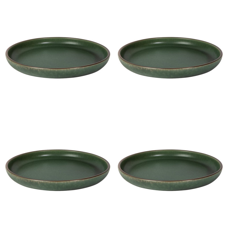 Ensemble de 4 assiettes plates Mosswood