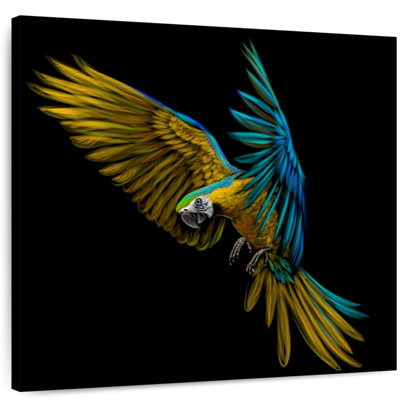 Crowle Wild Macaw, 16" H x 16" W