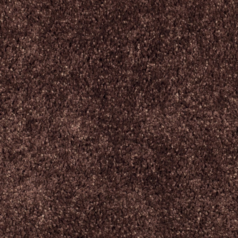 Starr Hill Brown Area Rug, Rectangle 2' x 12'