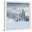 Twilight Woods - Single Picture Frame Print-478124784