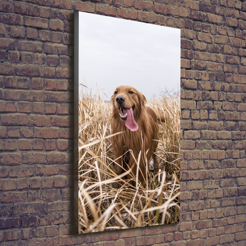 Golden Retriever - Wrapped Canvas Print
