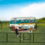 Parc pour chien en métal (8 panneaux)-78635531-87175558