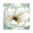 Soft Teal Splendor by Carol Robinson - Print on Canvas-226468202-226468213