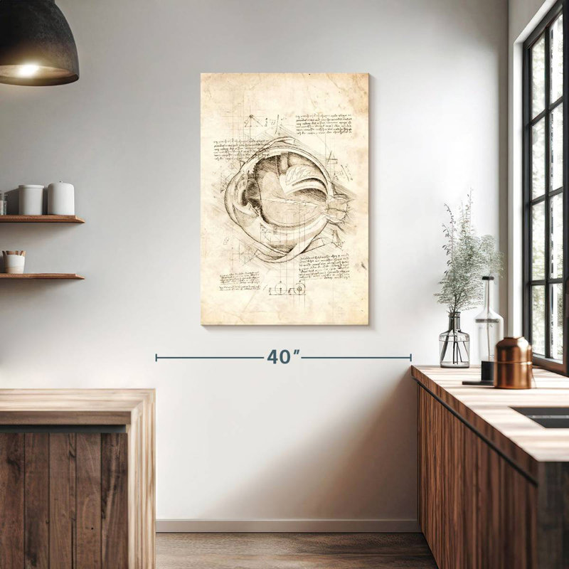 Keiri Human Eye Anatomy, 39" H x 26" W