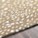 Jona Hand Tufted Wool Animal Print Indoor Rug