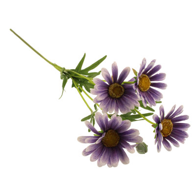 Daisy Arrangement