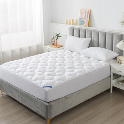 Eldersburg 1'' Mattress Pad
