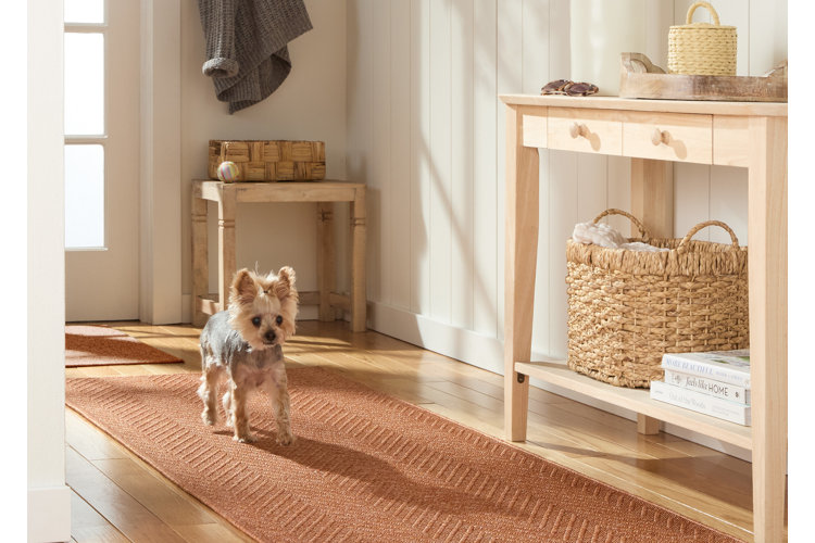 Best rugs for pets hallway runner area rug with a small yorkshire terrier walking on it next to a light wood console table