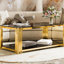 Table basse moderne rectangulaire noire, miroir-544815186