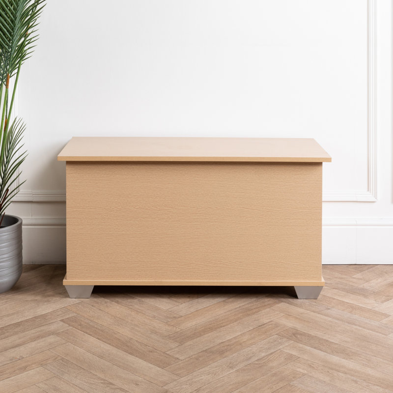 Solid + Manufactured Wood Blanket Chest, Brown