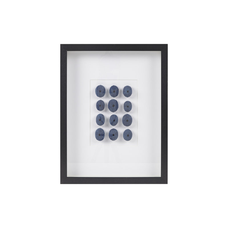 Indigo Shells Framed Sea Urchin Shadow Box Wall Décor