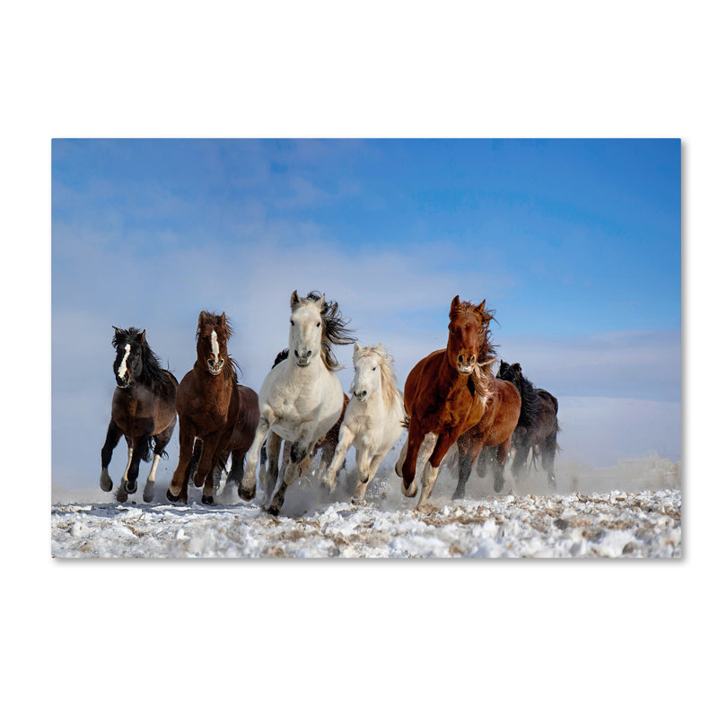 Art mural sur toile tendue - «Mongolia Horses» par Libby, décoration murale pour le salon, la chambre à coucher ou le bureau - 12 x 19
