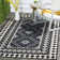 Tillis Southwestern Indoor/Outdoor Area Rug