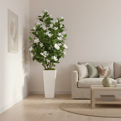 Magnolia Tree in Fiberstone Planter