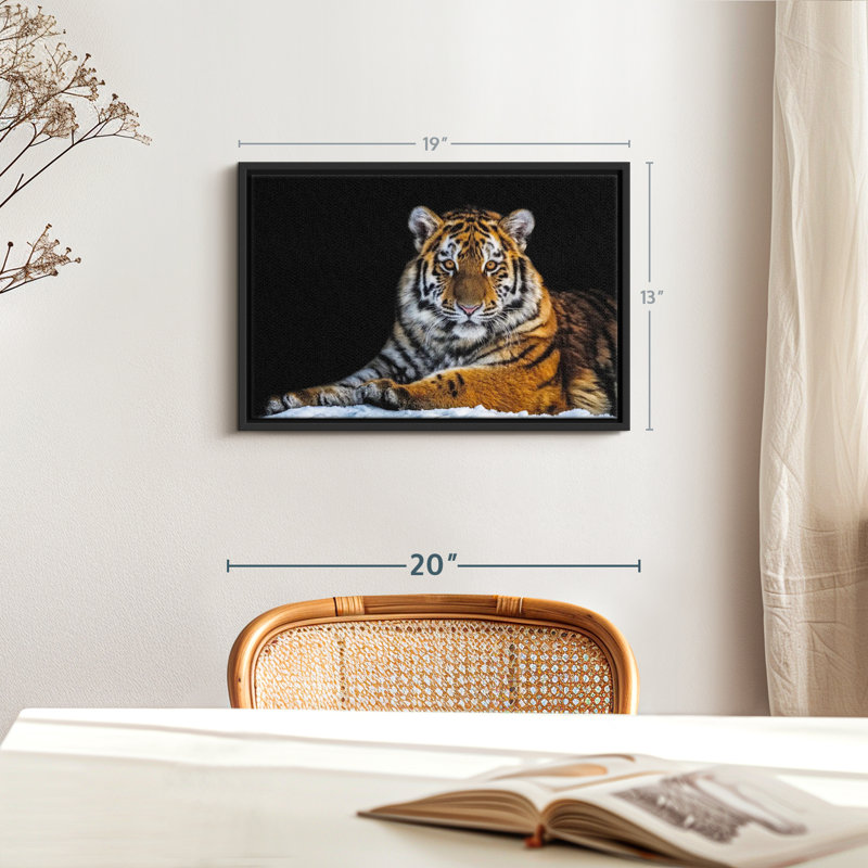 Animal «Snapshot Wall Art», H 13 po x l 19 po