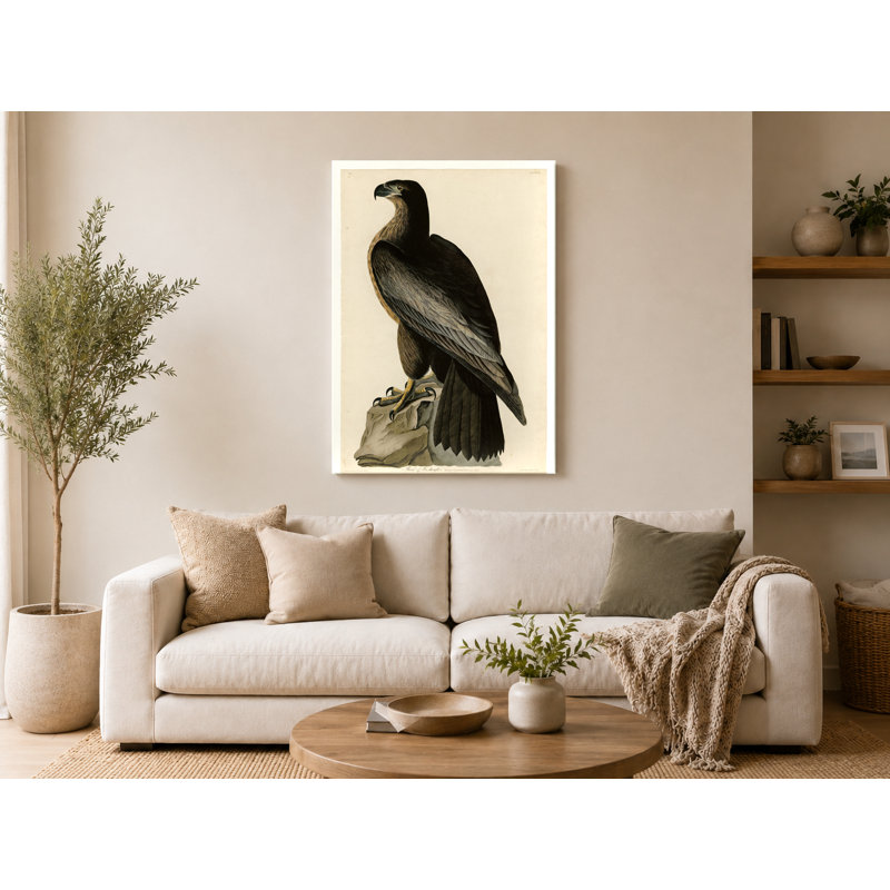 Oiseau de Washington (1827) - Portrait, art mural sur toile, 18" W x 12" H