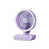 Purple est en rupture de stock