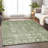 Machine Washable Indoor/Outdoor Xhevrie Aloe Rug-1223211324