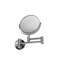 Britannia Metal Flat Wall Mirror
