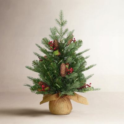 The Holiday Aisle® 2ft. Nordic Spruce Tree with LED Lights