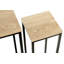 Adamarys Plant Stand - Set of 2