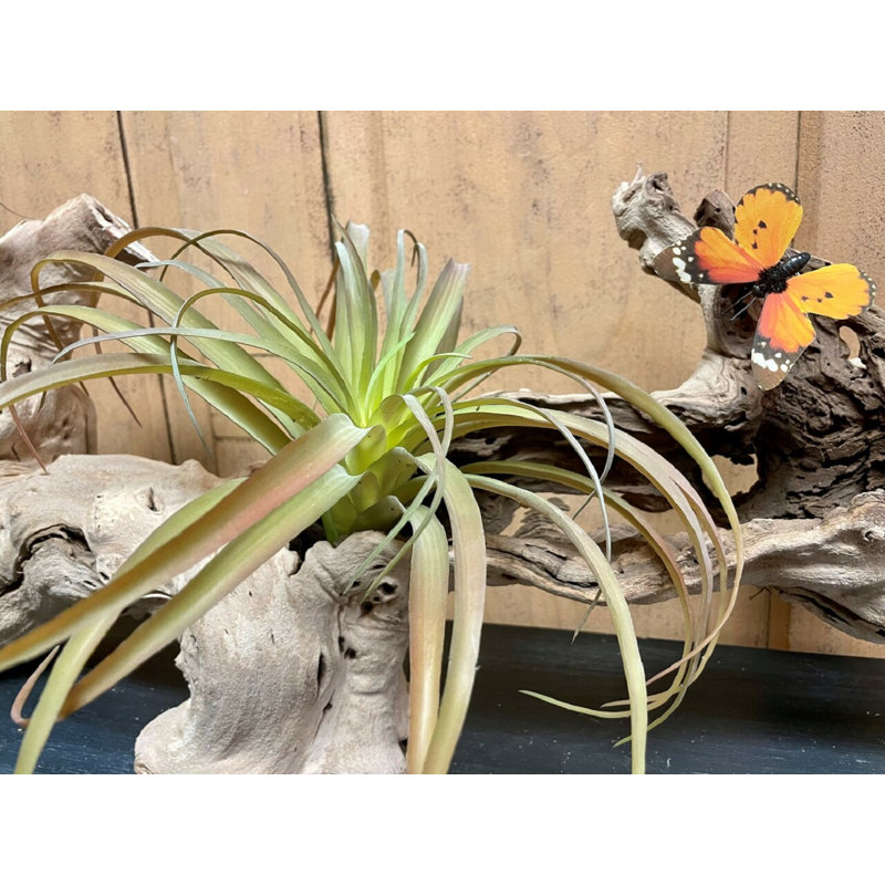 10'' Faux Foliage Succulent